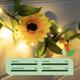 019269 - Sunflower Lights - 019269