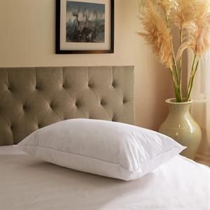 Natures Hug Goose Feather and Down Pillow - Medium Soft - 093932