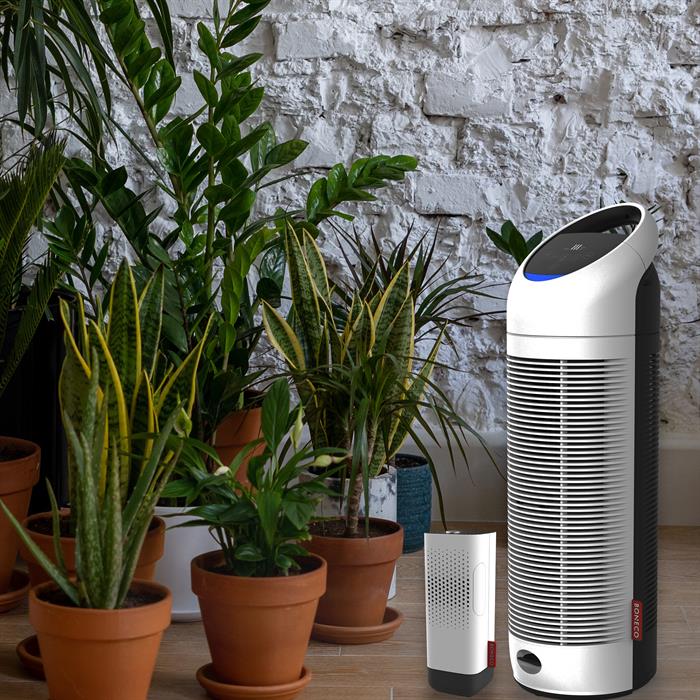 Boneco P370 with Boneco P50 Portable Air Purifier and Aroma Diffuser - 100977