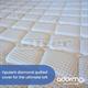 Adormo Silver Mattress with Complimentary Pillow - 208840