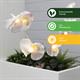 311206 - Orchid Lights - 311206