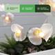 Gardenwize Solar Orchid Flower String Lights 2m - Twin Pack (4m in Total) - 311206