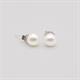 Faith & Brown Circe Freshwater Pearl Studs 7mm - Pearl Studs