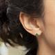 391321 - Earrings - 391321