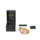429116 - Gold Pink - 429116