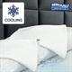 Seriously Comfortable Cool Zone Pillow Cover - Twin Pack - 440830