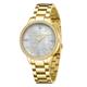 Swan & Edgar Ladies Pearlescent Watch with Stainless Bracelet - Pearlescent / Gold