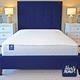Starry Night Picasso Mattress - Double