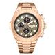Swan & Edgar Ltd Ed Oasis Automatic Watch with Stainless Steel Bracelet  - 492711