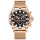 Swan & Edgar Ltd Ed Master Automatic Watch with Milanese Strap - 493720