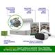 496686 - Wildlife - 496686