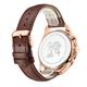 625961 - Brown - 625961