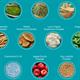 Numii Everyday Greens - 30 days - 661916