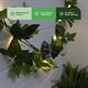 813439 - Ivy String Lights - 813439