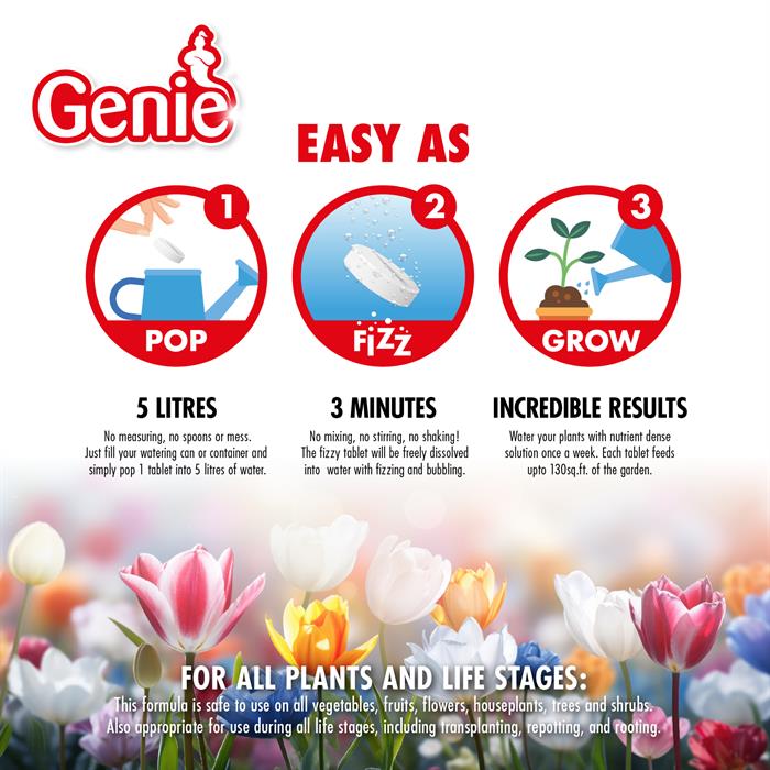 Genie Pop Fizz Grow Water Soluble Plant Food - Pack of 2 - 836132