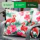 847096 - Flamingo - 847096