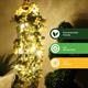 906485 - Yellow Primrose Lights - 906485