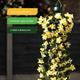 Gardenwize Solar Hanging Primrose Flower with 30 LED Lights - Twin Pack - 906485