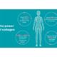 Numii Pure Collagen - 30 days - 919934