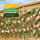 Gardenwize Solar Light LED Trellis - Pink