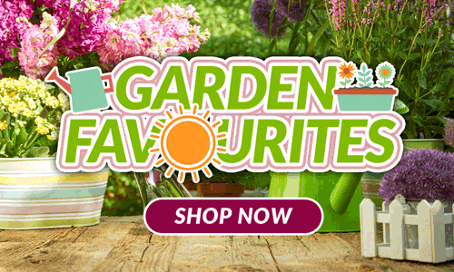 Shop Garden Favourites